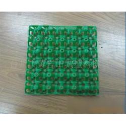 臺州市雞蛋批發(fā) 雞蛋供應(yīng) 雞蛋廠家 