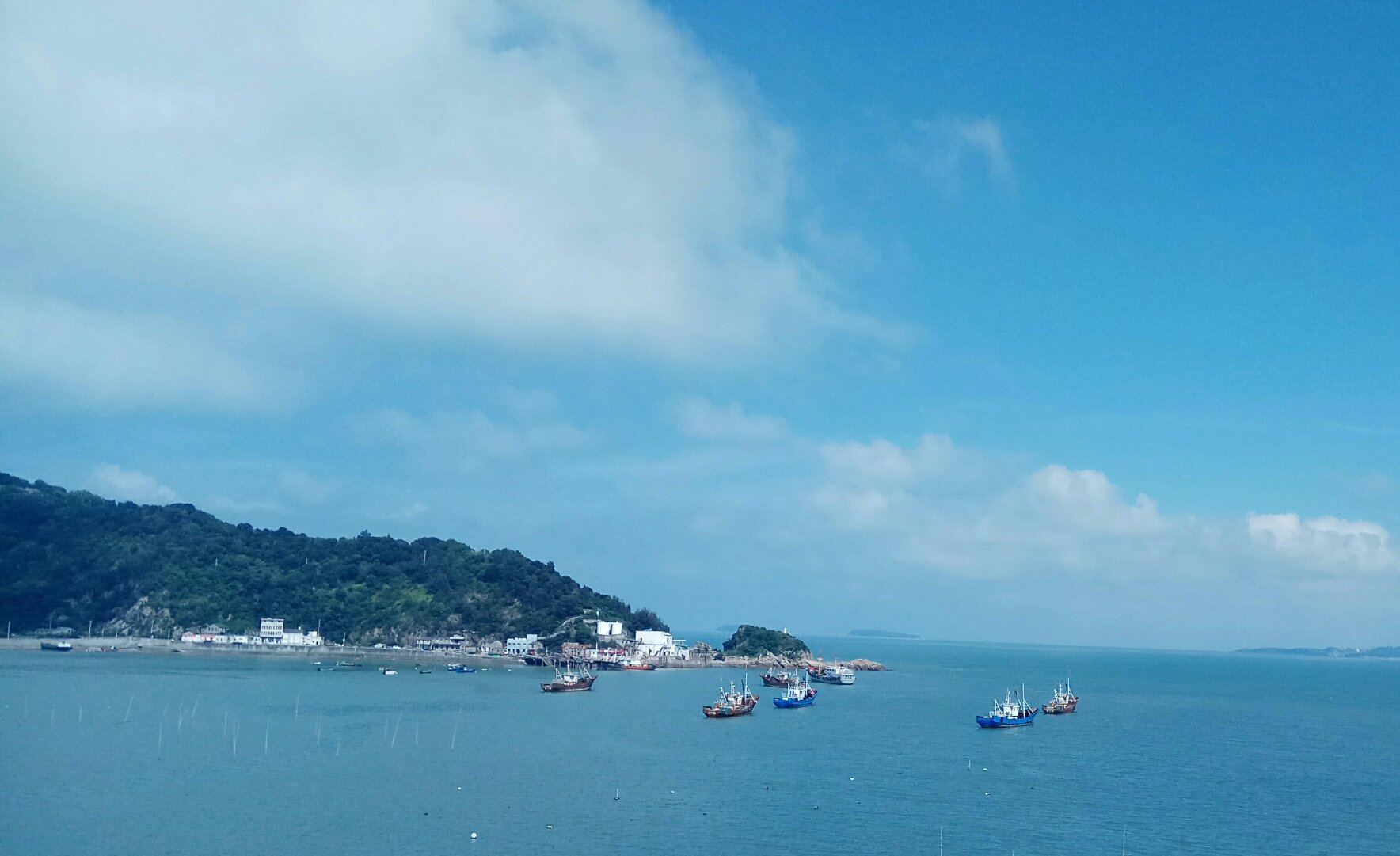 探訪臺州玉環縣大麥嶼街道龍灣村 鄉村振興的基層實踐