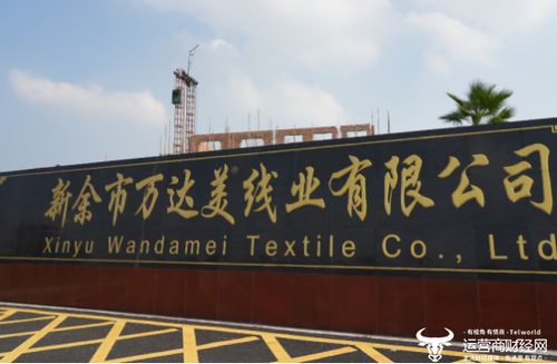 科技賦能，智慧共贏 這家運營商以創新服務樹立政企合作新范本