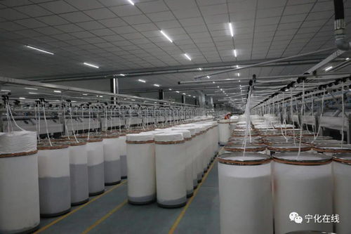 寧化長寧紡織 以科技創(chuàng)新為引擎，激活產(chǎn)業(yè)新動能